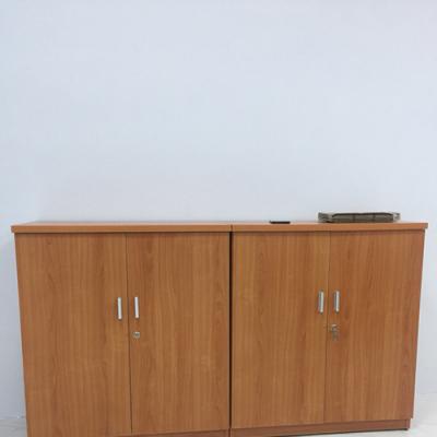 Tủ Tài Liệu Thấp 20