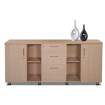 Tủ Tài Liệu Thấp 03