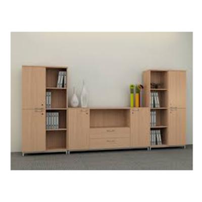 Tủ Tài Liệu Thấp 05