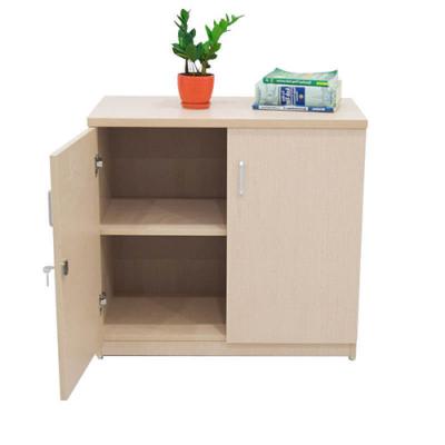 Tủ Tài Liệu Thấp 06