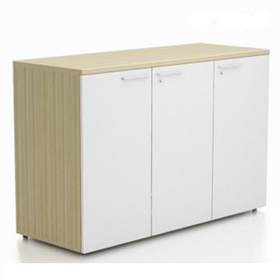 Tủ Tài Liệu Thấp 12