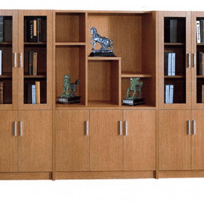 Tủ tài liệu cao NV 05